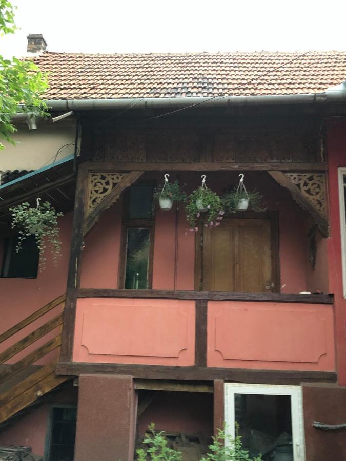 Ferienwohnung Cezara Mediaş Exterior foto
