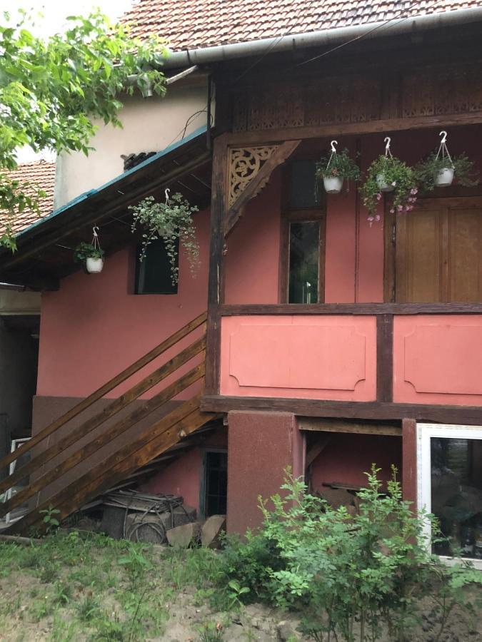 Ferienwohnung Cezara Mediaş Exterior foto